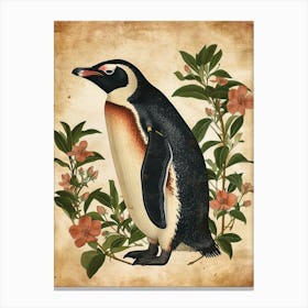 Adlie Penguin St Kilda Breakwater Vintage Botanical Painting 1 Canvas Print