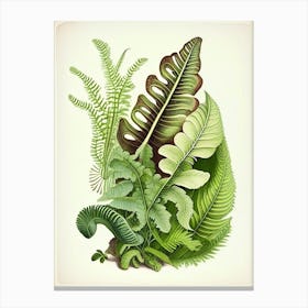 Snail With Fern Leaves Botanical Canvas Print