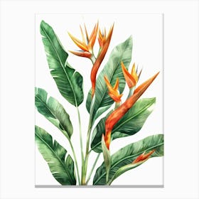 Bird Of Paradise 41 Canvas Print