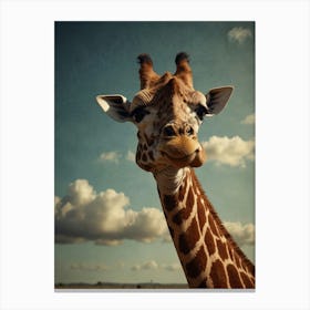 Giraffe 62 Canvas Print