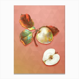 Vintage Astracan Apple Botanical Art on Peach Pink n.0452 Canvas Print