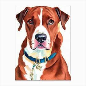 Vizsla 3 Watercolour dog Canvas Print
