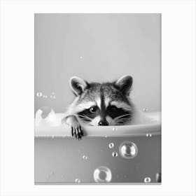 Raccoon In The Bath Canvas Print