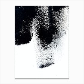 Abstract Black And White Brushstrokes Canvas Print