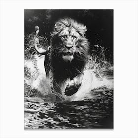 African Lion Charcoal Drawing Crossing A River 1 Canvas Print