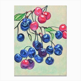 Sour Cherry 1 Vintage Sketch Fruit Canvas Print