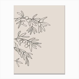 Mid Summer Olive Branch 01 Canvas Print