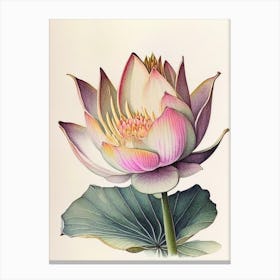 Giant Lotus Watercolour Ink Pencil 1 Canvas Print