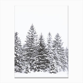 Black Winter Trees in Canvas Print