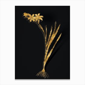 Vintage Gladiolus Botanical in Gold on Black n.0412 Canvas Print