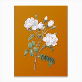 Vintage White Rose Botanical on Sunset Orange n.0962 Canvas Print