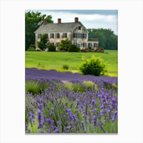 Lavender Field 23 Canvas Print