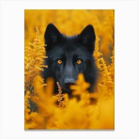 Black Wolf In Yellow Flowers Canvas Print