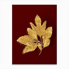 Vintage Bay Laurel Branch Botanical in Gold on Red Canvas Print