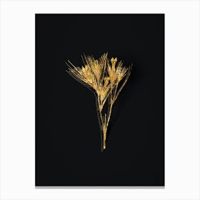 Vintage Witsenia Maura Botanical in Gold on Black n.0546 Canvas Print