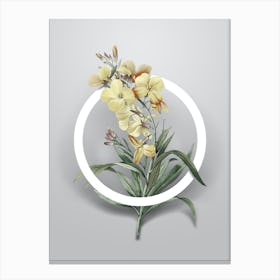 Vintage Cheiranthus Flower Minimalist Botanical Geometric Circle on Soft Gray n.0268 Canvas Print