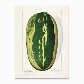 Watermelon 2 Canvas Print