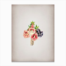 Vintage Gloxinia Flower Botanical on Parchment n.0917 Canvas Print