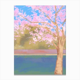 Cherry Blossom Tree Canvas Print