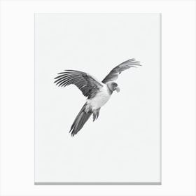 California Condor B&W Pencil Drawing 2 Bird Canvas Print