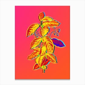 Neon Broadleaf Spindle Botanical in Hot Pink and Electric Blue n.0480 Canvas Print