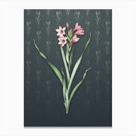 Vintage Sword Lily Botanical on Slate Gray Pattern n.1137 Canvas Print