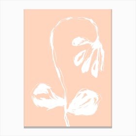 Peach Flower Canvas Print