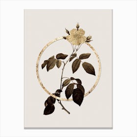 Gold Ring Big Leaved Climbing Rose Glitter Botanical Illustration n.0068 Canvas Print