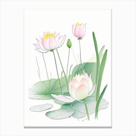 Lotus Flowers In Garden Pencil Illustration 3 Canvas Print