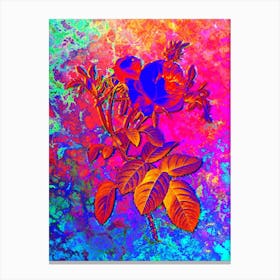 Pink Cabbage Rose de Mai Botanical in Acid Neon Pink Green and Blue Canvas Print
