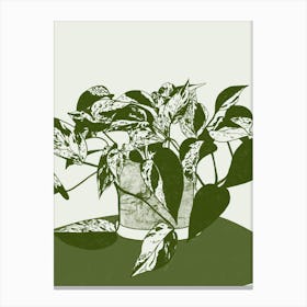 Green Pothos Potted Plant Canvas Print