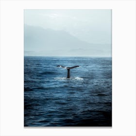 Whale Watching In Kaikoura, New Zealand Canvas Print