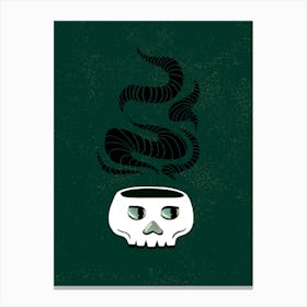Skull & Smoke Canvas Print