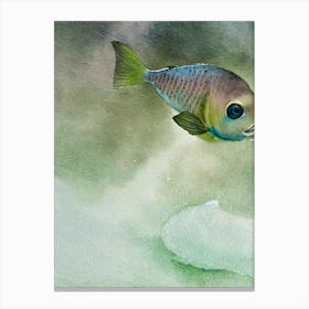 Barreleye Fish II Storybook Watercolour Canvas Print