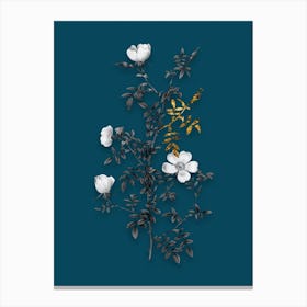 Vintage Hedge Rose Black and White Gold Leaf Floral Art on Teal Blue n.0515 Canvas Print