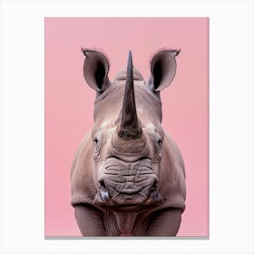 Rhino On Pink Background 3 Canvas Print