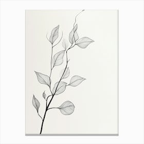 Leaves On A Branch Canvas Print