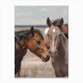 Two Horses Canvas Print