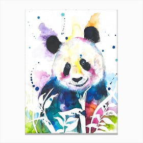 Panda Bear Canvas Print