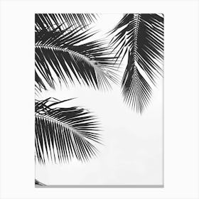 Black And White Palm Leaves 3 Canvas Print