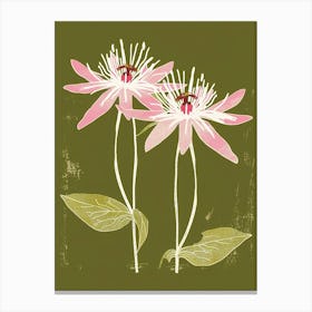 Pink & Green Passionflower 3 Canvas Print