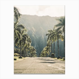 Palm Tree Road Canvas Print