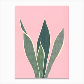 Cactus plant 3 Canvas Print