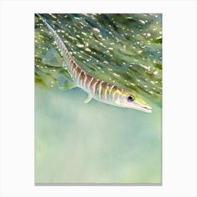 Needlefish Storybook Watercolour Canvas Print