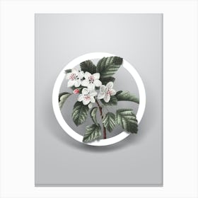 Vintage Sweet Crabapple Minimalist Botanical Geometric Circle on Soft Gray Canvas Print