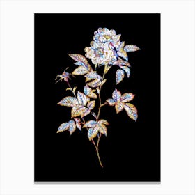 Stained Glass White Anjou Roses Mosaic Botanical Illustration on Black n.0220 Canvas Print