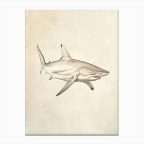 Isistius Genus Shark Vintage Illustration 4 Canvas Print