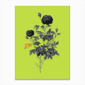 Vintage Burgundy Cabbage Rose Black and White Gold Leaf Floral Art on Chartreuse n.1225 Canvas Print