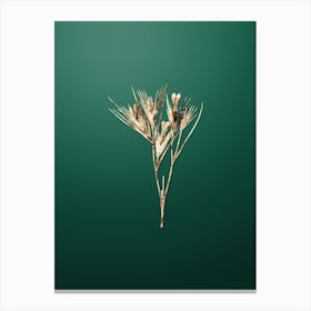Gold Botanical Witsenia Maura on Dark Spring Green n.0645 Canvas Print