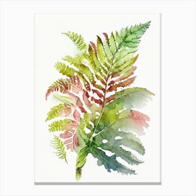 Painted Fern Wildflower Watercolour Canvas Print